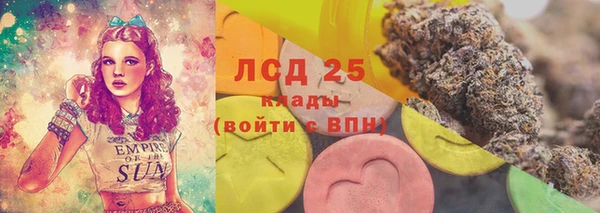 крисы Алексин