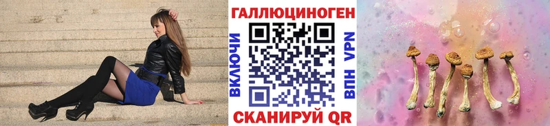 Псилоцибиновые грибы мицелий  mega ссылка  Кизляр 